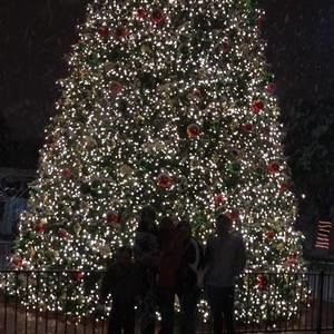 Meet your Posher, Marissa